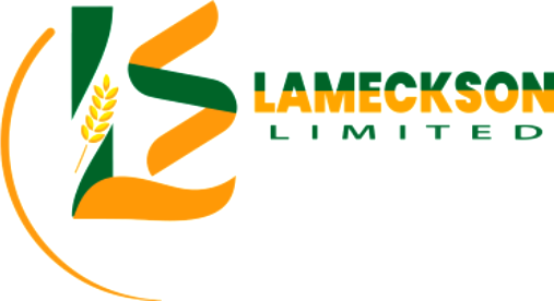 lameckson.co.tz